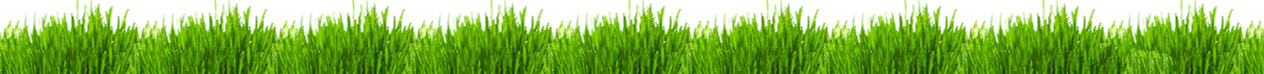 Green Plus 3