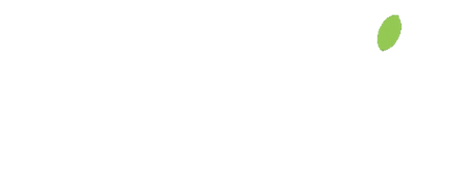 Green Plus Logo
