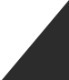 S11 T 1