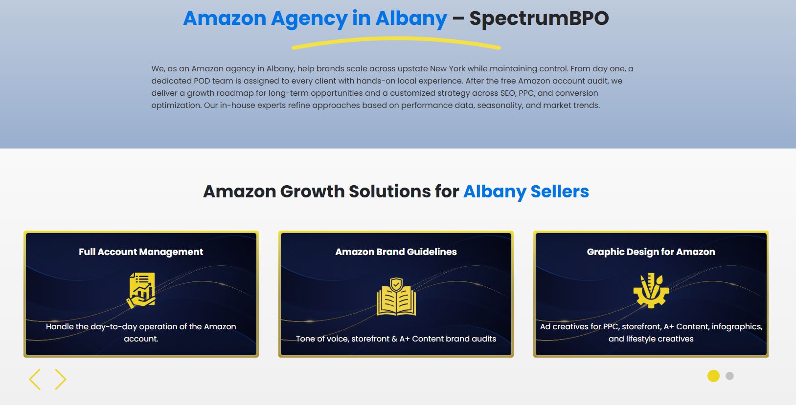 Amazon Agency in Albany