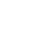 ClaudeIcon