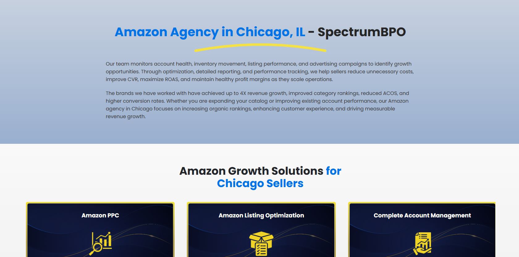 Amazon Agency in Chicago, IL