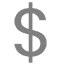 dollar sign icon